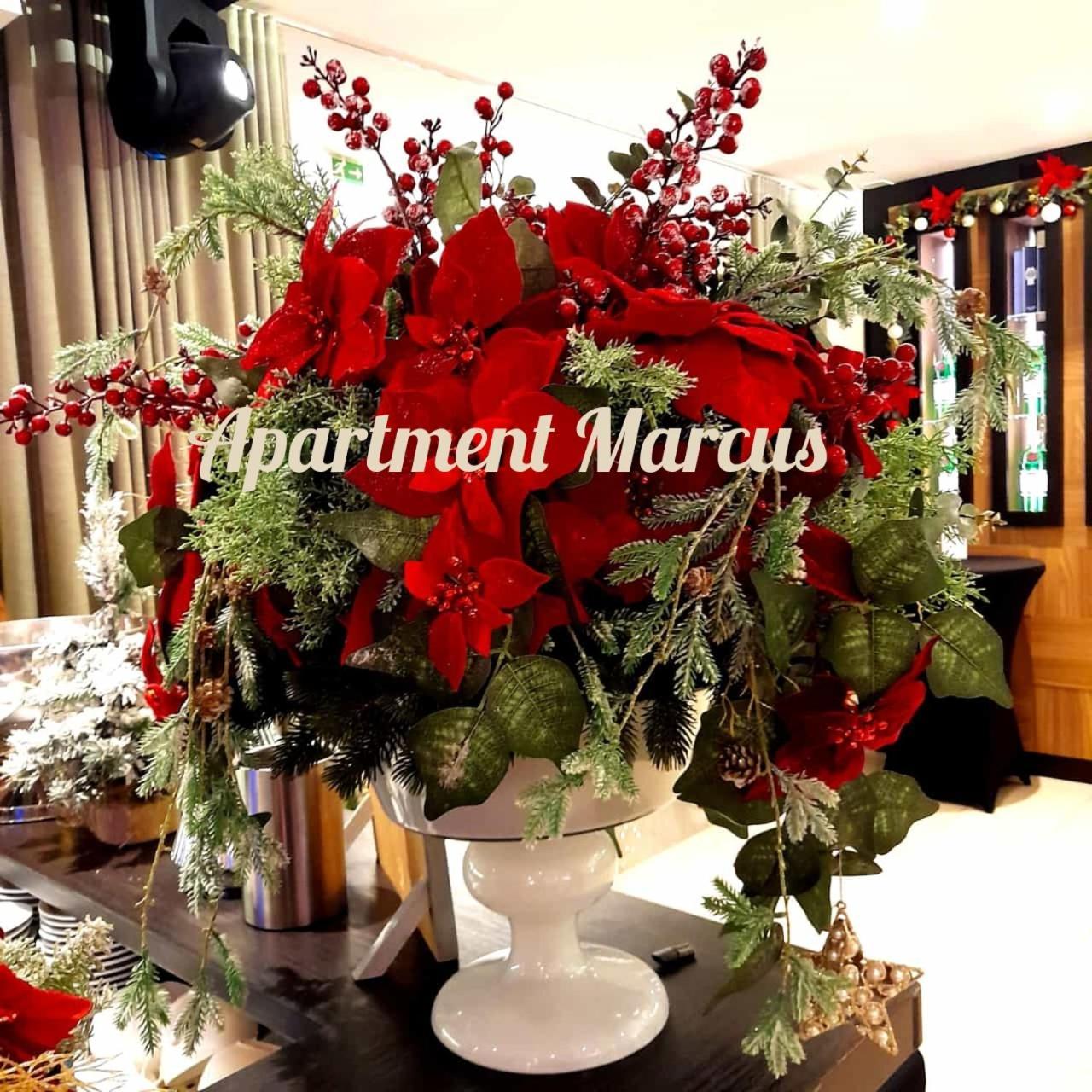 Apartments Marcus & Pascal シベニク エクステリア 写真